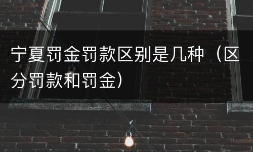 宁夏罚金罚款区别是几种（区分罚款和罚金）
