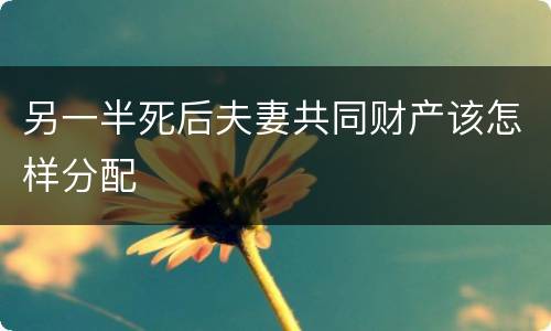 另一半死后夫妻共同财产该怎样分配