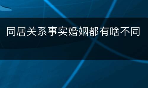 同居关系事实婚姻都有啥不同