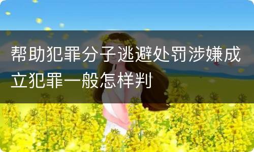 帮助犯罪分子逃避处罚涉嫌成立犯罪一般怎样判