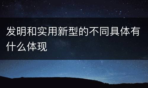 发明和实用新型的不同具体有什么体现