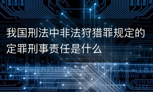 我国刑法中非法狩猎罪规定的定罪刑事责任是什么