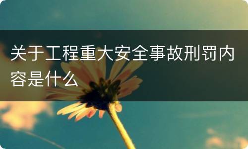 关于工程重大安全事故刑罚内容是什么