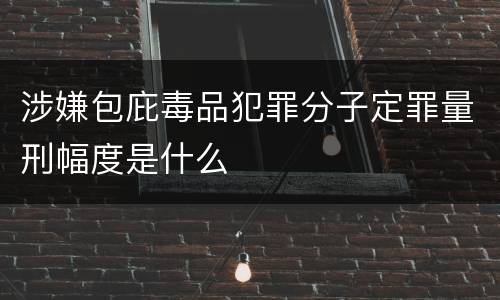 涉嫌包庇毒品犯罪分子定罪量刑幅度是什么