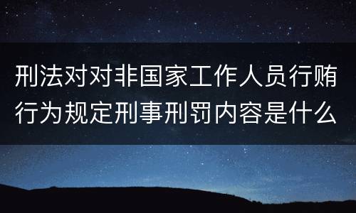刑法对对非国家工作人员行贿行为规定刑事刑罚内容是什么样
