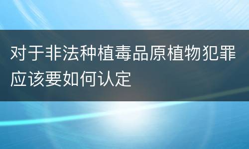 对于非法种植毒品原植物犯罪应该要如何认定