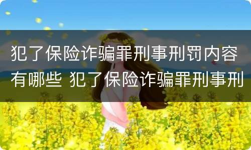 犯了保险诈骗罪刑事刑罚内容有哪些 犯了保险诈骗罪刑事刑罚内容有哪些规定