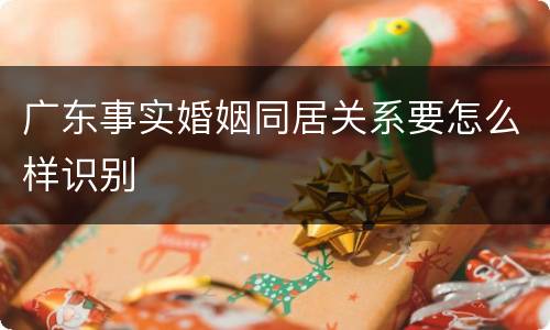 广东事实婚姻同居关系要怎么样识别