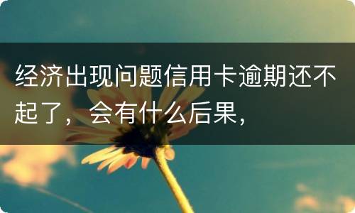 经济出现问题信用卡逾期还不起了，会有什么后果，