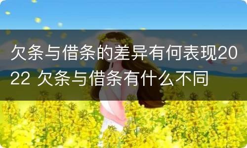 欠条与借条的差异有何表现2022 欠条与借条有什么不同