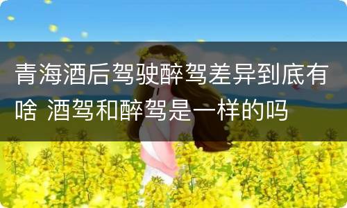 青海酒后驾驶醉驾差异到底有啥 酒驾和醉驾是一样的吗