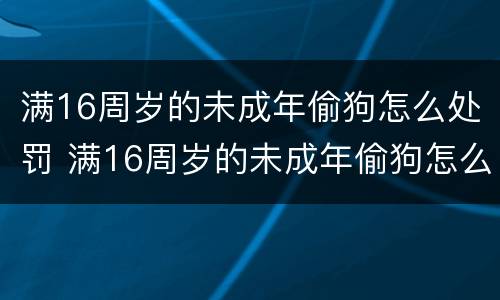 满16周岁的未成年偷狗怎么处罚 满16周岁的未成年偷狗怎么处罚呢