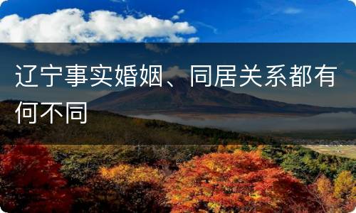 辽宁事实婚姻、同居关系都有何不同