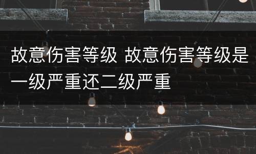 故意伤害等级 故意伤害等级是一级严重还二级严重