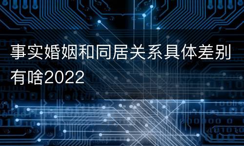 事实婚姻和同居关系具体差别有啥2022