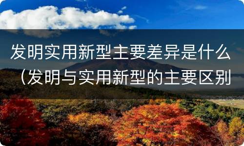 发明实用新型主要差异是什么（发明与实用新型的主要区别）