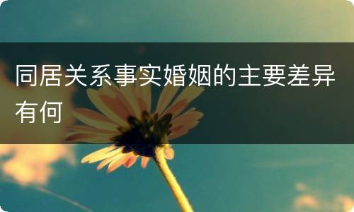 同居关系事实婚姻的主要差异有何