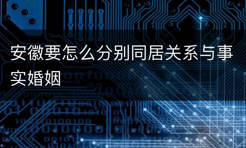 安徽要怎么分别同居关系与事实婚姻
