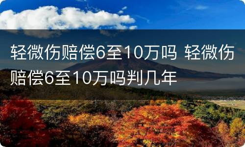 轻微伤赔偿6至10万吗 轻微伤赔偿6至10万吗判几年
