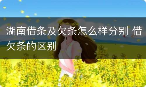 湖南借条及欠条怎么样分别 借欠条的区别