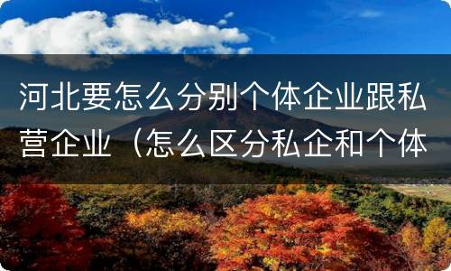 河北要怎么分别个体企业跟私营企业（怎么区分私企和个体）