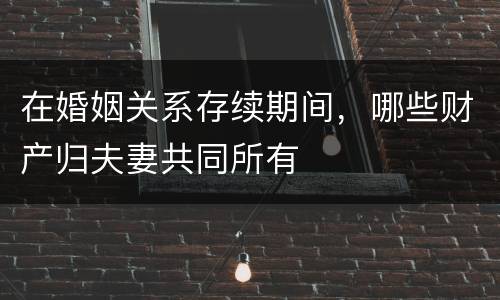在婚姻关系存续期间，哪些财产归夫妻共同所有