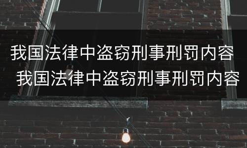 我国法律中盗窃刑事刑罚内容 我国法律中盗窃刑事刑罚内容是什么