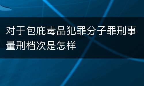 对于包庇毒品犯罪分子罪刑事量刑档次是怎样