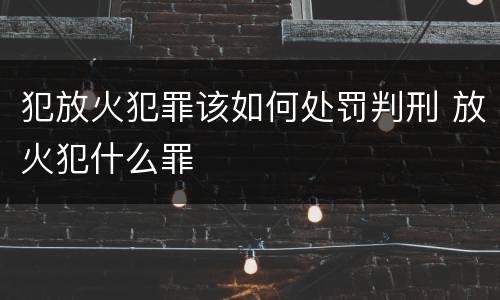犯放火犯罪该如何处罚判刑 放火犯什么罪