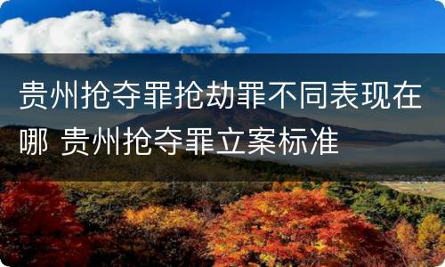 贵州抢夺罪抢劫罪不同表现在哪 贵州抢夺罪立案标准