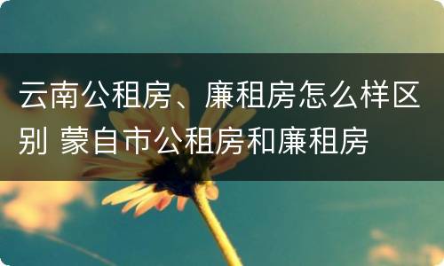 云南公租房、廉租房怎么样区别 蒙自市公租房和廉租房