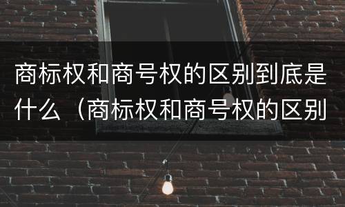 商标权和商号权的区别到底是什么（商标权和商号权的区别到底是什么意思）