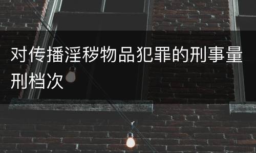 对传播淫秽物品犯罪的刑事量刑档次