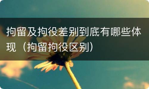 拘留及拘役差别到底有哪些体现（拘留拘役区别）