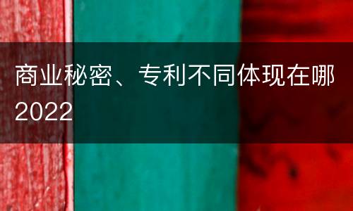 商业秘密、专利不同体现在哪2022