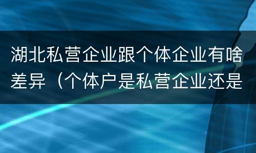 湖北私营企业跟个体企业有啥差异（个体户是私营企业还是民营企业）