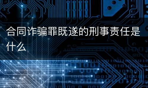 合同诈骗罪既遂的刑事责任是什么