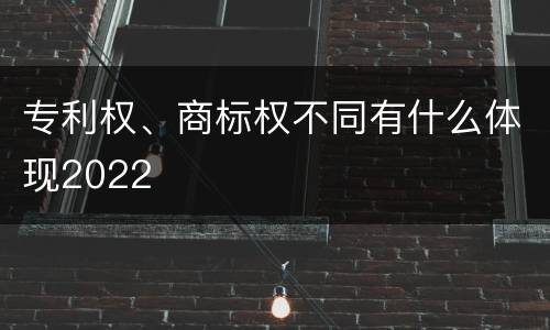 专利权、商标权不同有什么体现2022