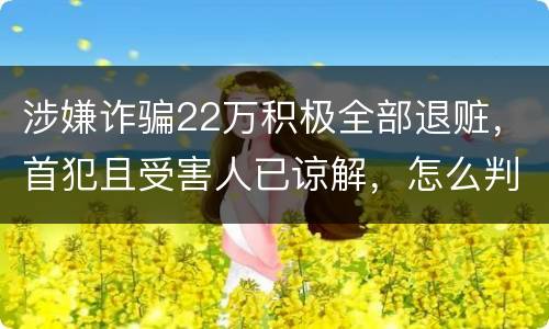涉嫌诈骗22万积极全部退赃，首犯且受害人已谅解，怎么判决
