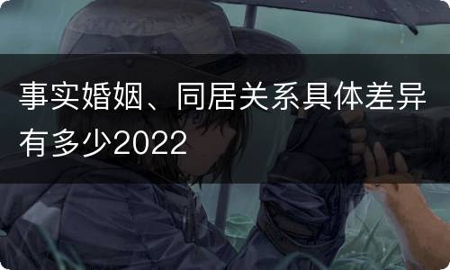 事实婚姻、同居关系具体差异有多少2022