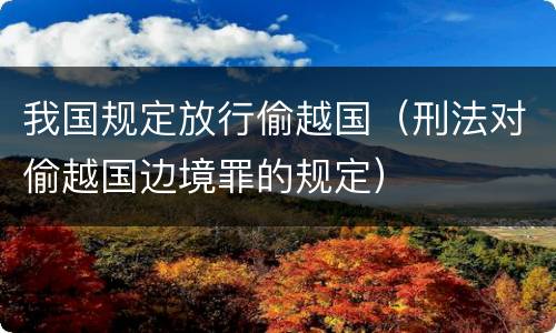 我国规定放行偷越国（刑法对偷越国边境罪的规定）