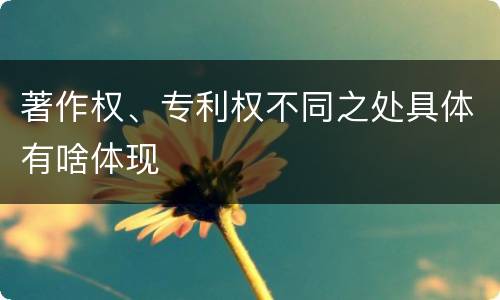 著作权、专利权不同之处具体有啥体现