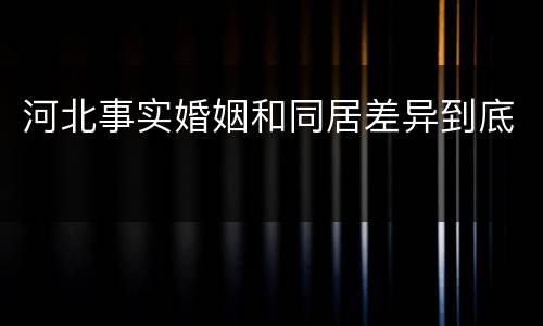河北事实婚姻和同居差异到底