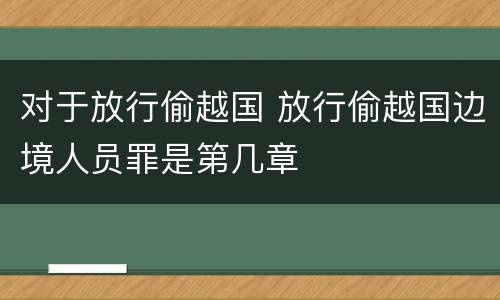 对于放行偷越国 放行偷越国边境人员罪是第几章