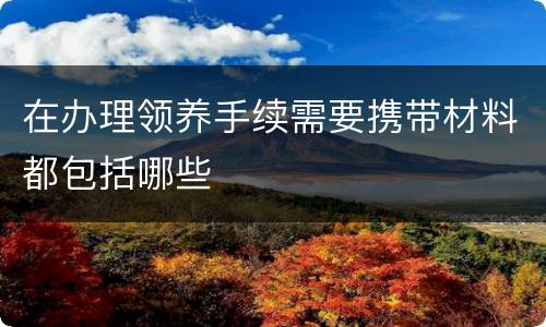 在办理领养手续需要携带材料都包括哪些