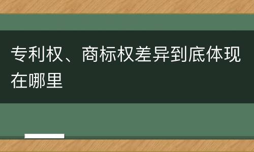 专利权、商标权差异到底体现在哪里