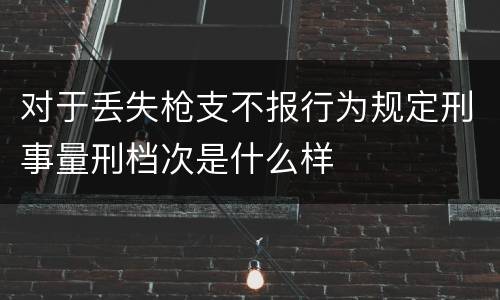 对于丢失枪支不报行为规定刑事量刑档次是什么样