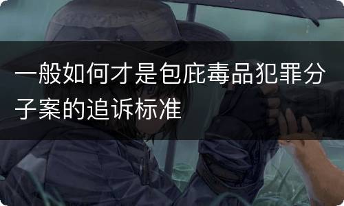一般如何才是包庇毒品犯罪分子案的追诉标准