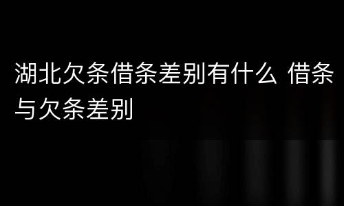 湖北欠条借条差别有什么 借条与欠条差别
