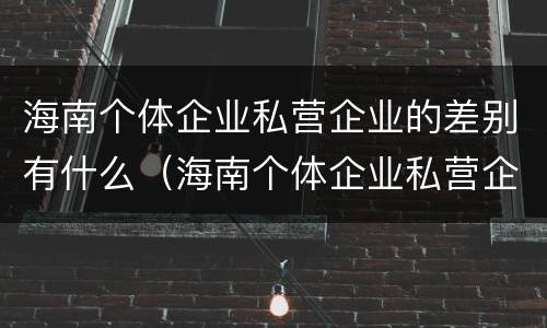 海南个体企业私营企业的差别有什么（海南个体企业私营企业的差别有什么特点）